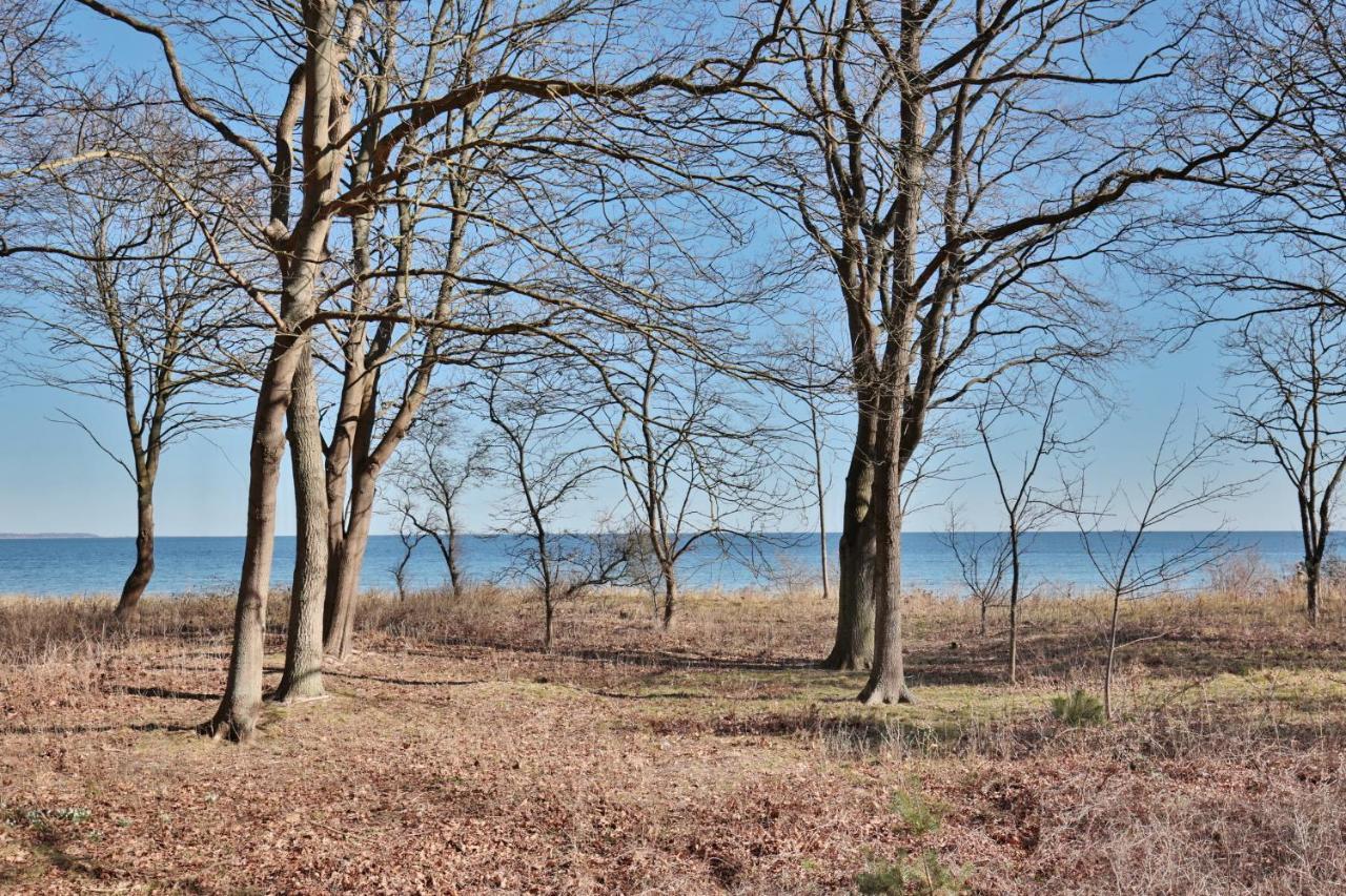 Ferienappartement Boye71 Ferienappartement Boye71 Timmendorfer Strand Zewnętrze zdjęcie